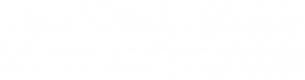 Logo E-com Solutions